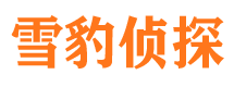 息县市私家侦探